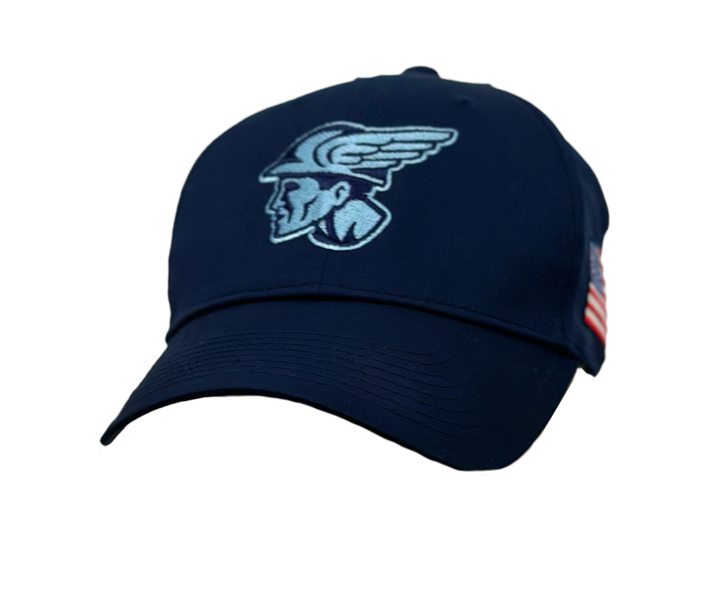 Blue in Blue Nike Mercury Head