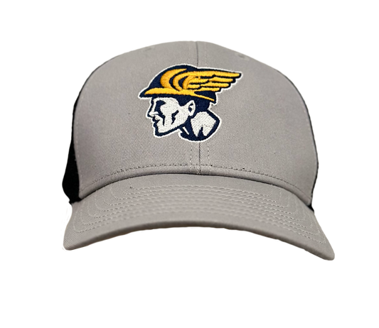 Grey UA  Snapback Mercury Head