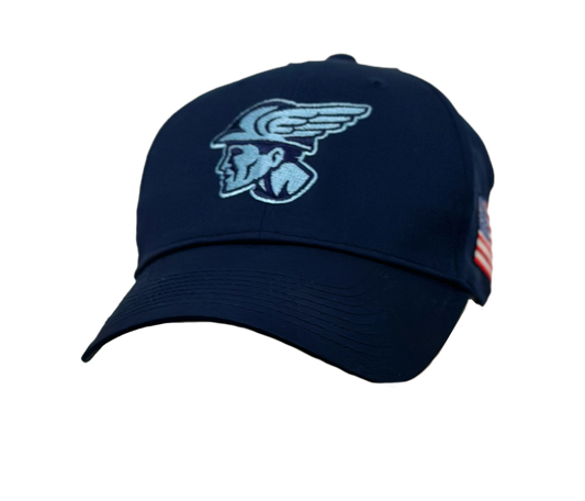 Blue in Blue Nike Mercury Head