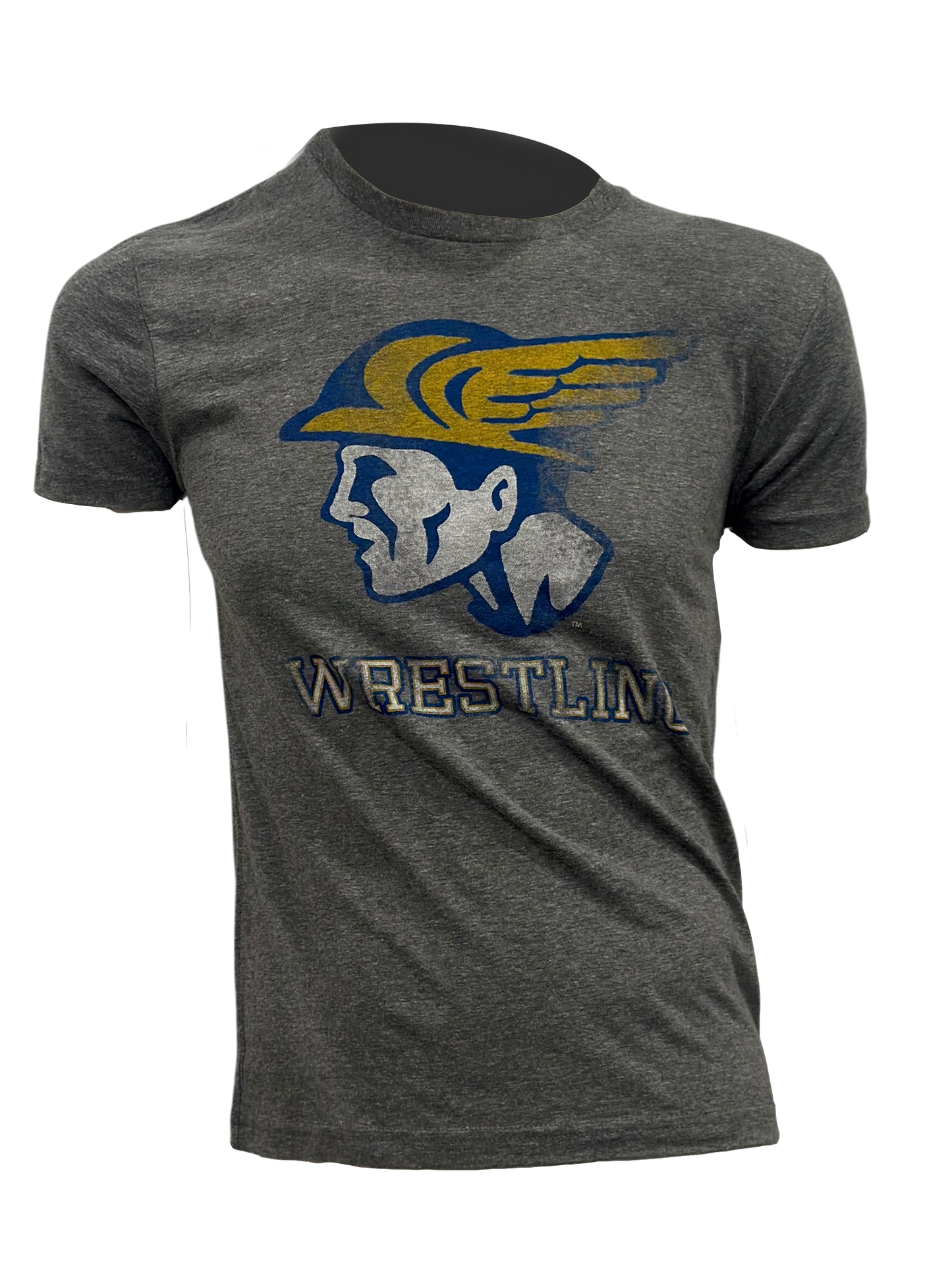 Grey Mercury Head Tee